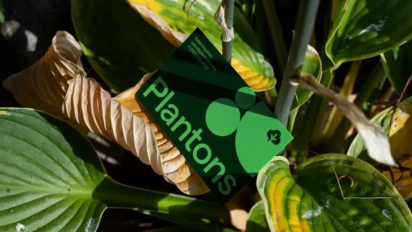 personal startup branding agency