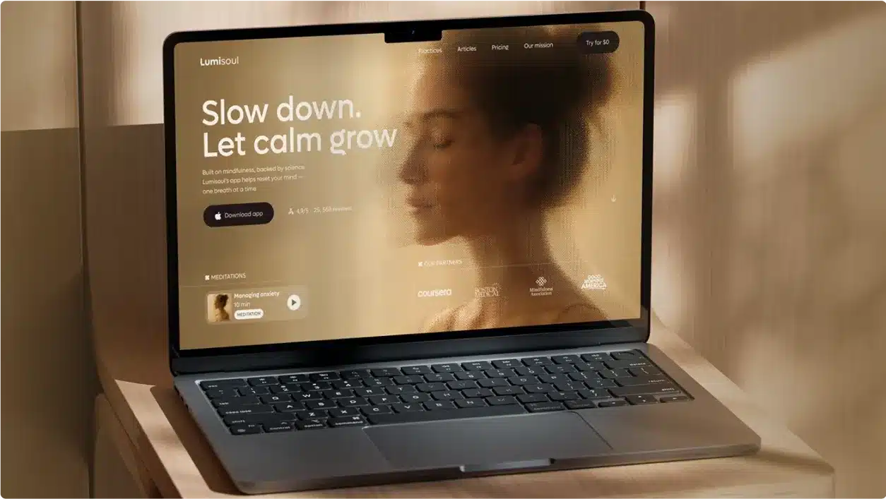 professional Website Design companies near me